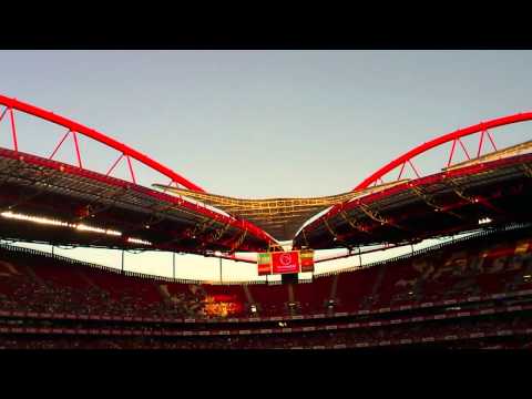 Águia Vitória falhou voo no Estádio da Luz