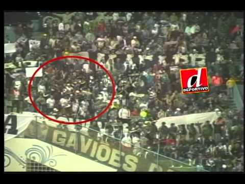 Vídeo que mostra o petardo que matou adepto na Libertadores