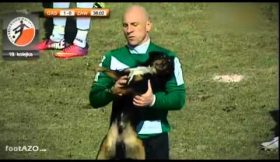 Cão interrompe partida na Polónia