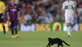 Gato preto não deu azar ao Barça no arranque da Liga Espanhola