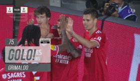 Golo da Jornada (Liga 21/22 #17): Grimaldo (Benfica)