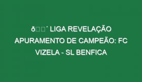 🔴 LIGA REVELAÇÃO APURAMENTO DE CAMPEÃO: FC VIZELA – SL BENFICA