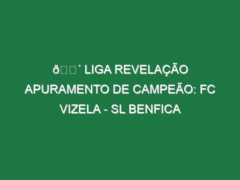 🔴 LIGA REVELAÇÃO APURAMENTO DE CAMPEÃO: FC VIZELA – SL BENFICA