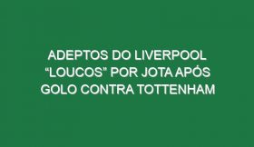 Adeptos Do Liverpool “Loucos” Por Jota Após Golo Contra Tottenham