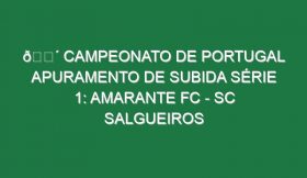 🔴 CAMPEONATO DE PORTUGAL APURAMENTO DE SUBIDA SÉRIE 1: AMARANTE FC – SC SALGUEIROS