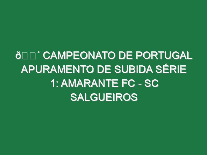 🔴 CAMPEONATO DE PORTUGAL APURAMENTO DE SUBIDA SÉRIE 1: AMARANTE FC – SC SALGUEIROS