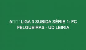 🔴 LIGA 3 SUBIDA SÉRIE 1: FC FELGUEIRAS – UD LEIRIA