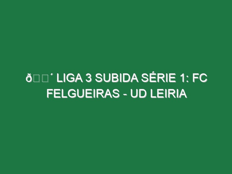 🔴 LIGA 3 SUBIDA SÉRIE 1: FC FELGUEIRAS – UD LEIRIA