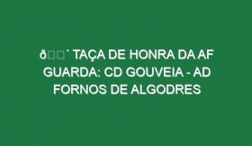 🔴 TAÇA DE HONRA DA AF GUARDA: CD GOUVEIA – AD FORNOS DE ALGODRES