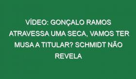 Vídeo: Gonçalo Ramos atravessa uma seca, vamos ter Musa a titular? Schmidt não revela