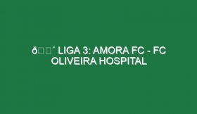 🔴 LIGA 3: AMORA FC – FC OLIVEIRA HOSPITAL