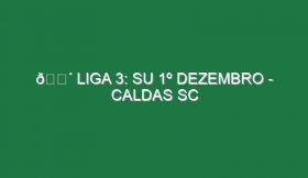 🔴 LIGA 3: SU 1º DEZEMBRO – CALDAS SC