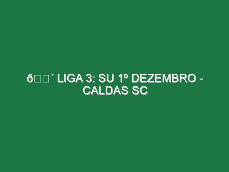 🔴 LIGA 3: SU 1º DEZEMBRO – CALDAS SC