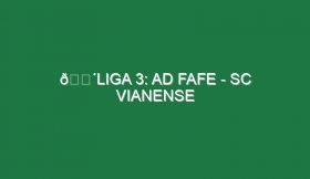 🔴LIGA 3: AD FAFE – SC VIANENSE