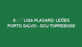 🔴 LIGA PLACARD: LEÕES PORTO SALVO – SCU TORREENSE