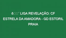 🔴 LIGA REVELAÇÃO: CF ESTRELA DA AMADORA – GD ESTORIL PRAIA