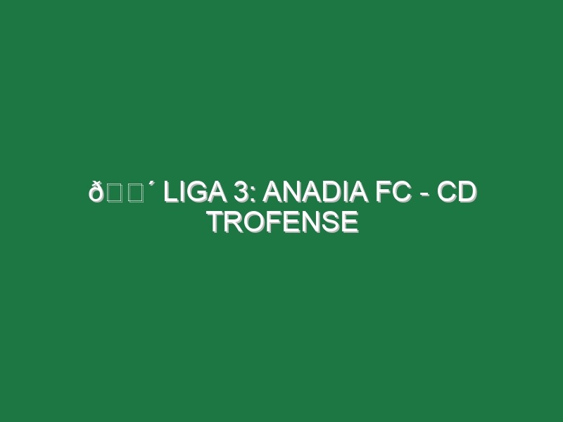 🔴 LIGA 3: ANADIA FC – CD TROFENSE