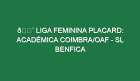 🔴 LIGA FEMININA PLACARD: ACADÉMICA COIMBRA/OAF – SL BENFICA