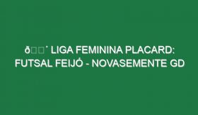 🔴 LIGA FEMININA PLACARD: FUTSAL FEIJÓ – NOVASEMENTE GD