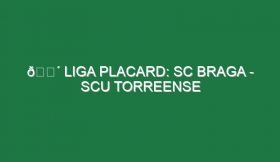 🔴 LIGA PLACARD: SC BRAGA – SCU TORREENSE