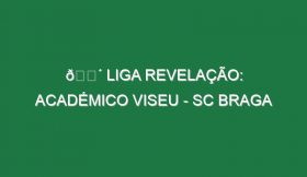 🔴 LIGA REVELAÇÃO: ACADÉMICO VISEU – SC BRAGA