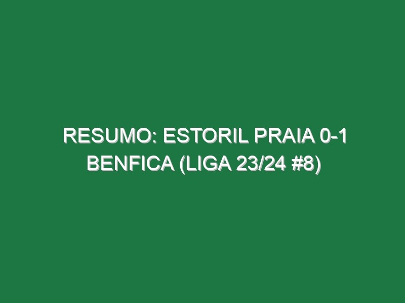 Resumo: Estoril Praia 0-1 Benfica (Liga 23/24 #8)