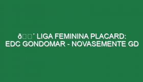 🔴 LIGA FEMININA PLACARD: EDC GONDOMAR – NOVASEMENTE GD