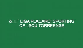 🔴 LIGA PLACARD: SPORTING CP – SCU TORREENSE