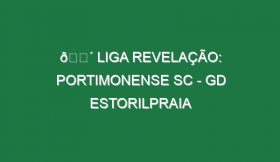 🔴 LIGA REVELAÇÃO: PORTIMONENSE SC – GD ESTORILPRAIA