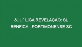 🔴 LIGA REVELAÇÃO: SL BENFICA – PORTIMONENSE SC