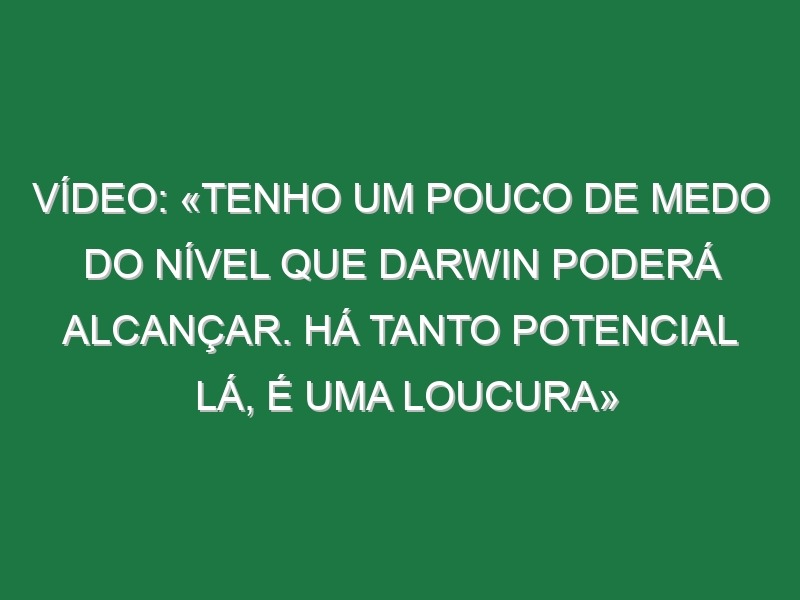 Vídeo: «Tenho um pouco de medo do nível que Darwin poderá alcançar. Há tanto potencial lá, é uma loucura»