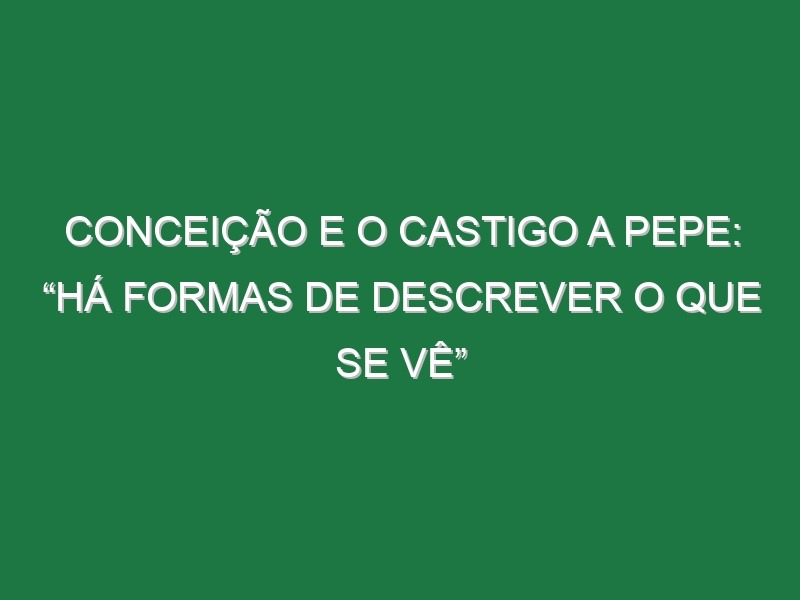 Conceição e o castigo a Pepe: “Há formas de descrever o que se vê”