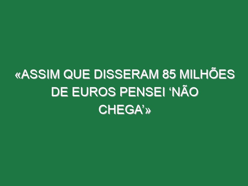 «Assim que disseram 85 milhões de euros pensei ‘não chega’»