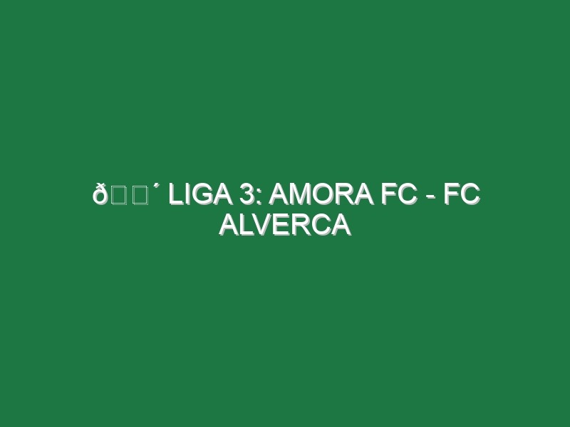 🔴 LIGA 3: AMORA FC – FC ALVERCA