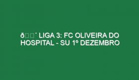 🔴 LIGA 3: FC OLIVEIRA DO HOSPITAL – SU 1º DEZEMBRO