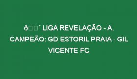 🔴 LIGA REVELAÇÃO – A. CAMPEÃO: GD ESTORIL PRAIA – GIL VICENTE FC