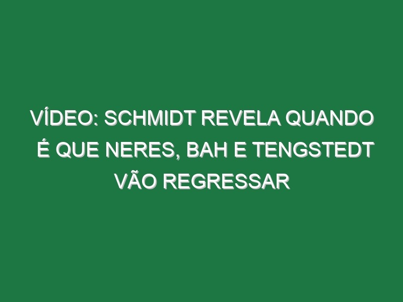 Vídeo: Schmidt revela quando é que Neres, Bah e Tengstedt vão regressar