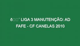 🔴 LIGA 3 MANUTENÇÃO: AD FAFE – CF CANELAS 2010