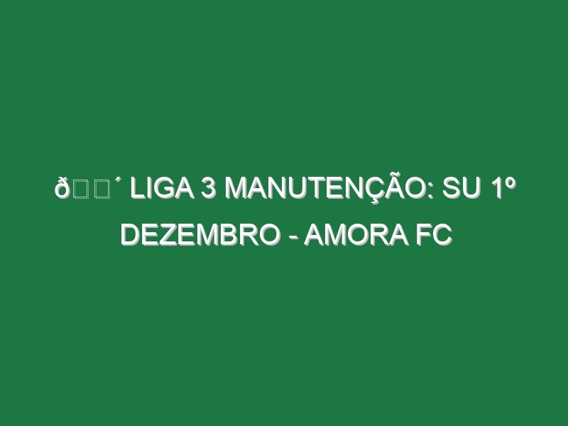 🔴 LIGA 3 MANUTENÇÃO: SU 1º DEZEMBRO – AMORA FC