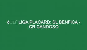 🔴 LIGA PLACARD: SL BENFICA – CR CANDOSO