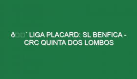 🔴 LIGA PLACARD: SL BENFICA – CRC QUINTA DOS LOMBOS