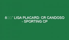 🔴 LIGA PLACARD: CR CANDOSO – SPORTING CP