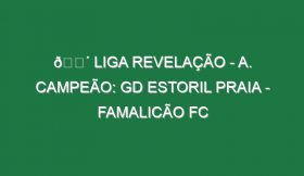 🔴 LIGA REVELAÇÃO – A. CAMPEÃO: GD ESTORIL PRAIA – FAMALICÃO FC