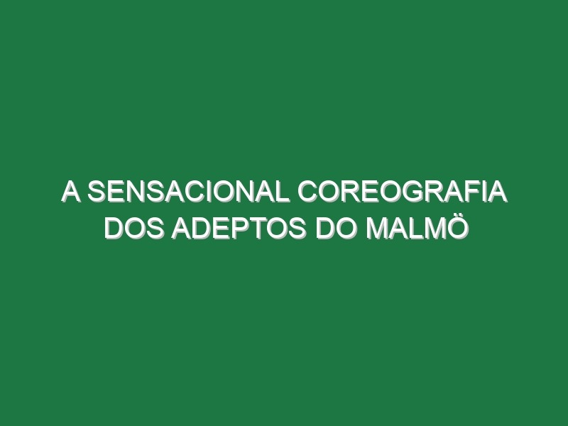 A sensacional coreografia dos adeptos do Malmö