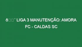 🔴 LIGA 3 MANUTENÇÃO: AMORA FC – CALDAS SC