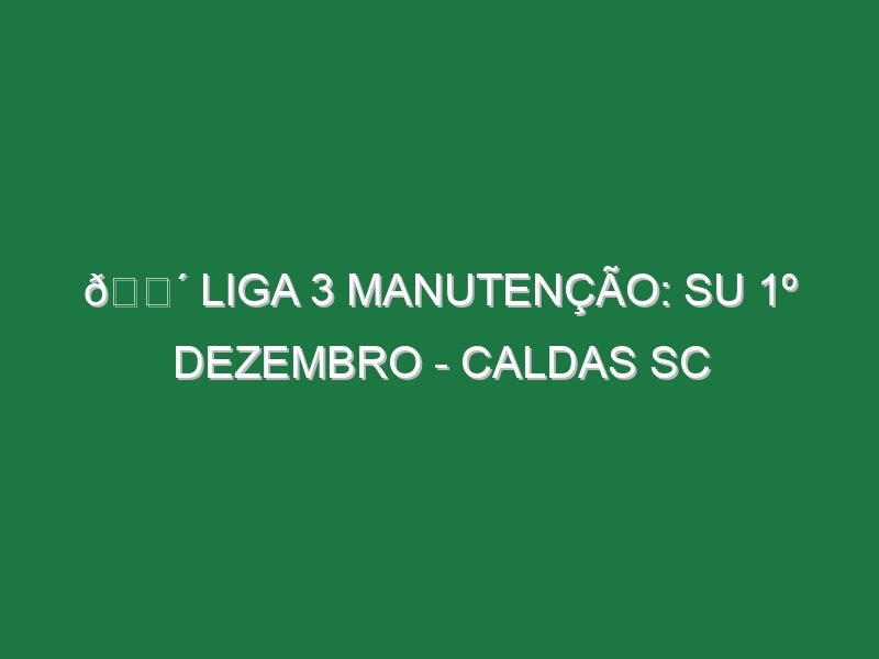 🔴 LIGA 3 MANUTENÇÃO: SU 1º DEZEMBRO – CALDAS SC