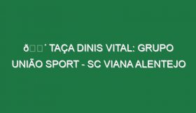 🔴 TAÇA DINIS VITAL: GRUPO UNIÃO SPORT – SC VIANA ALENTEJO