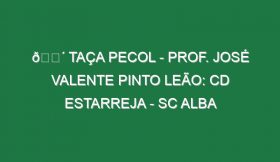 🔴 TAÇA PECOL – PROF. JOSÉ VALENTE PINTO LEÃO: CD ESTARREJA – SC ALBA