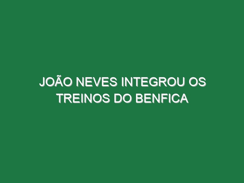 João Neves integrou os treinos do Benfica