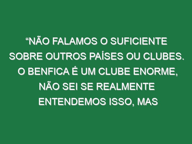 “Não falamos o suficiente sobre outros países ou clubes. O Benfica é um clube enorme, não sei se realmente entendemos isso, mas chegamos a este estádio fantástico e trazem mais de 40 mil adeptos para um amigável. É impressionante”